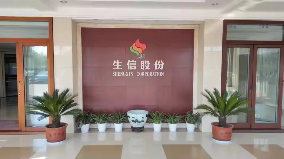 China ANHUI SHENGXIN  CORPORATION LIMITED Perfil de la compañía